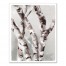 Birch Trees 16x20 Canvas Wall Art