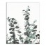 Watercolor Eucalyptus 16x20 Canvas Wall Art