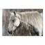 Handpainted Horse 24x16 Canvas Wall Art