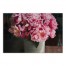 Pink Flower Bouquet 24x16 Canvas Wall Art