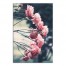 Pink Roses 16x24 Canvas Wall Art