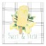Lemon Popsicle 20x20 Canvas Wall Art