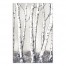 Watercolor Birch Trees 20x30 Canvas Wall Art