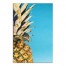 Pineapple Sky 20x30 Canvas Wall Art