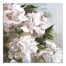Painted Potted Flowers 24x24 Canvas Wall Art