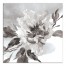 Gray Painted Flower 24x24 Canvas Wall Art