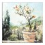 Tuscan Orange Tree 24x24 Canvas Wall Art