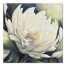 White Flower on Blue Green 24x24 Canvas Wall Art