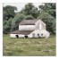 White Barn 30x30 Canvas Wall Art