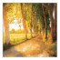 Sunset Trees 30x30 Canvas Wall Art