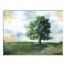 Painted Tree 40x30 Canvas Wall Art