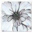 Black and White Flower 36x36 Canvas Wall Art