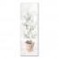 Distressed Olive Tree 12x36 Canvas Wall Art