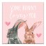 Some Bunny Loves You 20x20 Canvas Wall Art