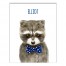 Bow Tie Raccoon 11x14 Personalized Canvas Wall Art