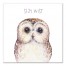 Stay Wise Owl 16x16 Canvas Wall Art