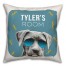 Cool Dog Room 18x18 Personalized Spun Poly Pillow