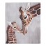 Mama and Baby Giraffe 30x40 Tapestry
