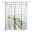 Watercolor Turtle 71x74 Personalized Shower Curtain