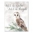 All is Calm and Bright Owl 16x20 Canvas Wall Art