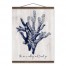 Navy Coral 20x16 Teak Hanging Canvas