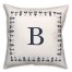 Nautical Monogram - B 18x18 Indoor / Outdoor Pillow