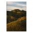 Grassy Hilltops 20x30 Canvas Wall Art