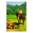 Cowboy on Horse 20x30 Canvas Wall Art