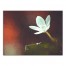 White Flower 24x18 Canvas Wall Art