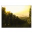 Vineyard Morning 24x18 Canvas Wall Art