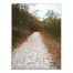 Peaceful Walking Path 18x24 Canvas Wall Art
