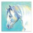 Blue Horse Head 30x30 Canvas Wall Art