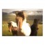 Mountain Horses 24x16 Canvas Wall Art