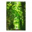 Green Forest Path 30x40 Canvas Wall Art