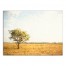 Lone Tree in Field 40x30 Canvas Wall Art