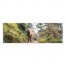 Elephant in Forest 36x12 Canvas Wall Art