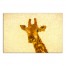 Gold Giraffe 30x20 Canvas Wall Art