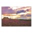 Wildflower Sunset 48x32 Canvas Wall Art