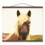 Horse Mane 16x20 Teak Hanging Canvas
