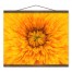 Bright Dandelion 16x20 Teak Hanging Canvas