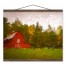 Red Bard in Forest 16x20 Teak Hanging Canvas