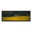 Cabin in Yellow Field 36x12 Black Framed Canvas