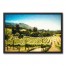 Bright Vineyard 30x20 Black Framed Canvas