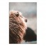 Sheep's Mane 20x30 Canvas Wall Art