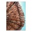 Wood Beach Umbrella 20x30 Canvas Wall Art