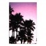 Purple Palm Tree Sunset 20x30 Canvas Wall Art