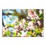 Cherry Blossom Tree 30x20 Canvas Wall Art