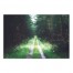 Dark Forest Path 30x20 Canvas Wall Art