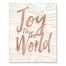 Joy to the World 16x20 Canvas Wall Art