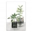 Watercolor Plaid Plant Vase 20x30 Canvas Wall Art